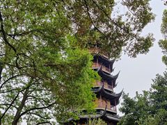 -红梅公园