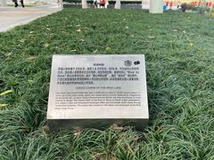 -西北湖绿化广场