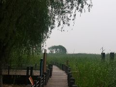 -苏州太湖湖滨国家湿地公园