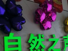 -自然之声助听器·呼吸机(东风大街店)