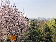 -西安青龙寺遗址景区