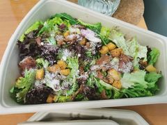 -Tubestation站点比萨(五道营店)