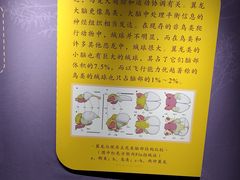 -辽宁古生物博物馆
