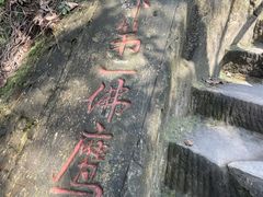 -大金鹰园