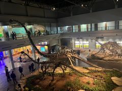 -自贡恐龙博物馆
