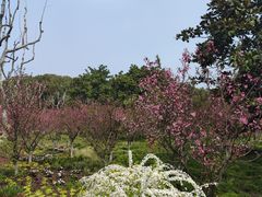 -黄兴公园