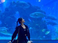 -成都浩海立方海洋公园