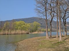 -长广溪湿地公园