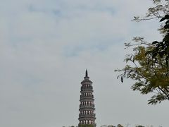 -顺峰山公园