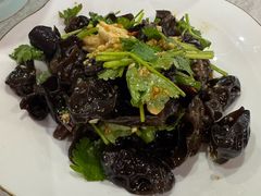 -洞庭家宴·头牌甲鱼(广渠门店)
