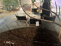 -J Create城市露营咖啡·简餐·宠物(上海动物园店)