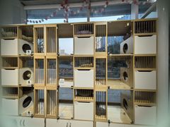 -PETKIT 小佩宠物·德文赛凯猫舍