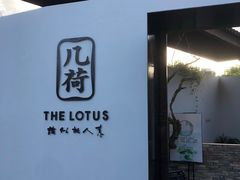 -几荷·恰似故人来(秀水广场店)