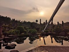 -深圳仙湖植物园
