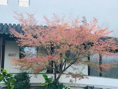 -秋霞圃