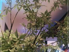 -阿嬷手作(南宁百盛印象城店)