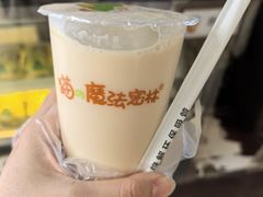 -猫的魔法密林(衣裳街店)