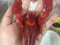 -龙虾奇迹(大华三路店)