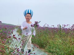 -渔岛海洋度假区