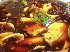 -黑龙滩生态鱼火锅(百寿路店)