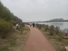 -丁香湖公园