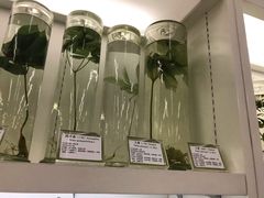 -北京中医药大学-中医药博物馆