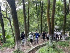 -火炉山森林公园