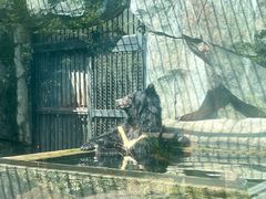 -南昌动物园