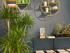 -张一元茶庄(望京店)