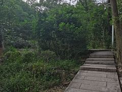 -石溪公园