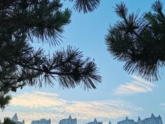 -青岛金沙滩