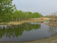 -东郊湿地公园