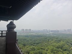 -宜兴龙背山森林公园