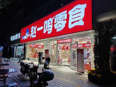 -赵一鸣零食(广州荔湾路店)