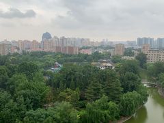 -团结湖公园
