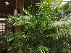 -天源吉布世温泉水乐园