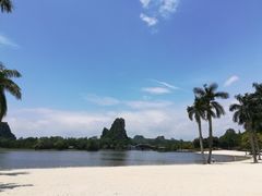 -南宁花花大世界景区