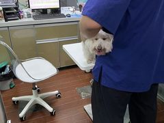 -宠物星动物医院·眼科·异宠·猫科(江南大道总院)