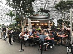 -樟宜机场免税店