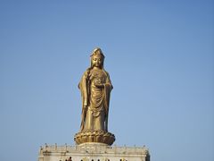 -普陀山雷迪森庄园