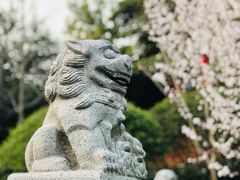 -阅江楼风景区