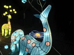 -武汉园博园(武汉自然博物馆)