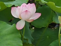 -喜棠·长沙家宴·海鲜·湘菜(麓谷店)