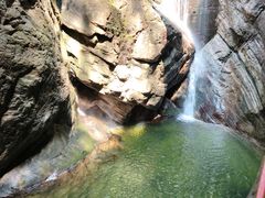 -牛背梁国家森林公园