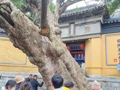 -无锡惠山寺