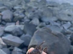 -上海吴淞炮台湾国家湿地公园