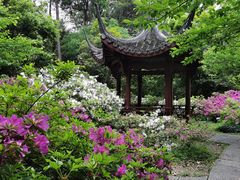 -杭州植物园