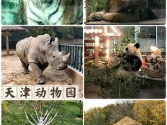-天津市动物园