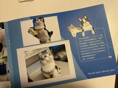 -纳吉亚猫专科动物医院·北北分院