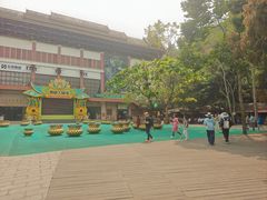 -西双版纳原始森林公园